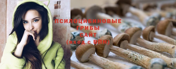 a pvp Волоколамск