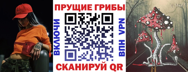 Псилоцибиновые грибы мицелий  как найти закладки  Добрянка 